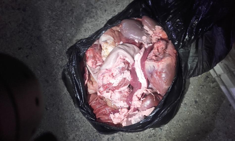 2019-2-19-101420190130_225739 (003).jpg